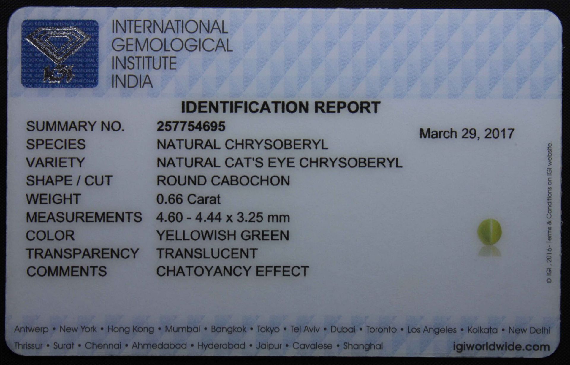 0.66 Ct Igi Certified Chrysoberyl Cat's Eye - Without Reserve - Image 3 of 3