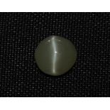 0.47 Ct Igi Certified Chrysoberyl Cat's Eye - Without Reserve