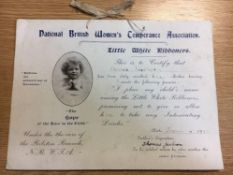 British Women's Temperance Association LITTLE WHITE RIBBONERS Social History