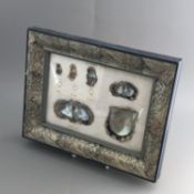 Interesting framed shells and pearls showing the growth of the Cultured Pearl