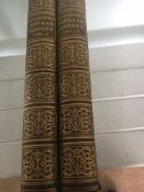 Hutchinson's Popular Botany A E Knight & E Step 2 vols. 1st Edition c.1920