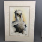 Red Kite Chick by Dee Doody - Welsh Wildlife Bird - print signed by the artist