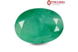 6.06 Carat PGTL & AGI Certified Oval Cut (15 x 11 mm) Colombian Emerald Gemstone.