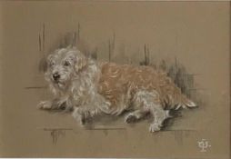 Monogramed Watercolour, Dog study