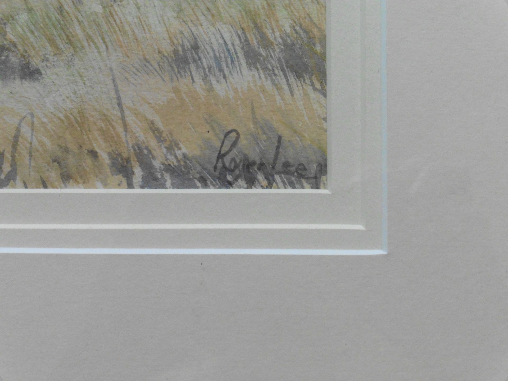 Roger Lee Exhibited R.S.W signed Watercolour “Black Grouse” - Image 3 of 3