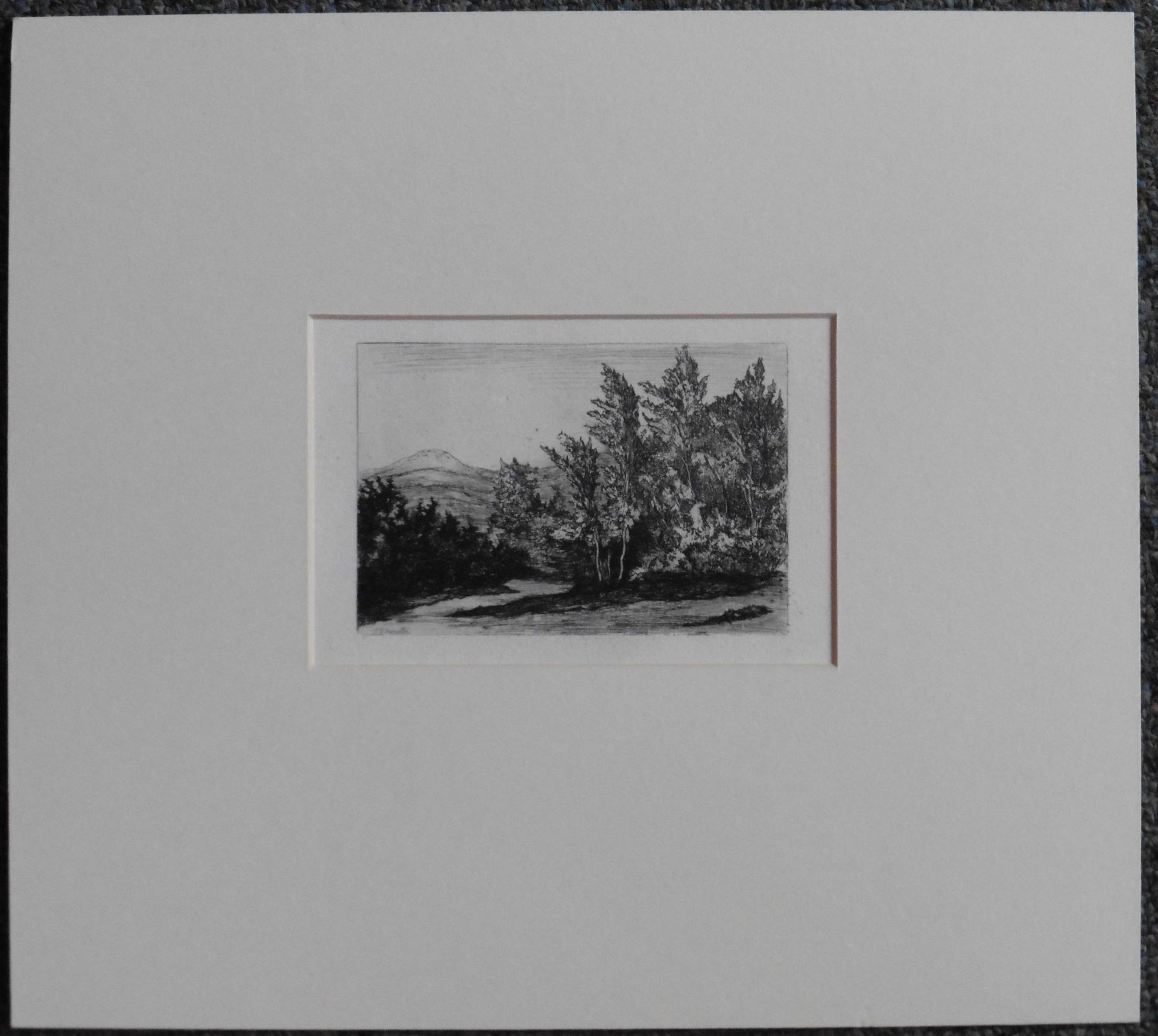 Woodcut signed in the plate Philip Gilbert Hamerton (1834 - 1894) “ Country landscape” - Image 3 of 3