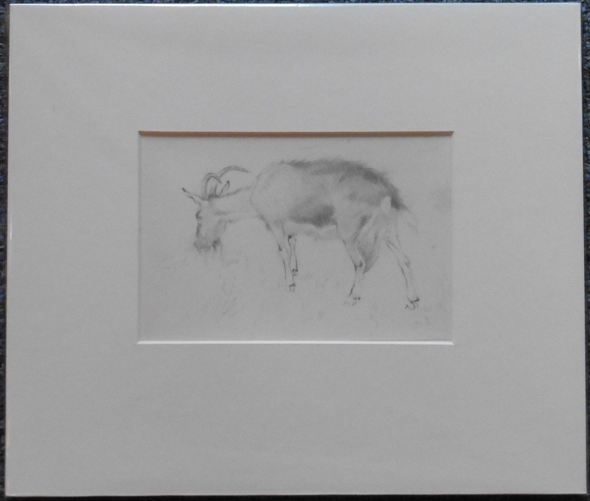John Murray Thomson RSA RSW PSSA (1885-1974) Pencil Sketch “Goat grazing” - Image 2 of 2