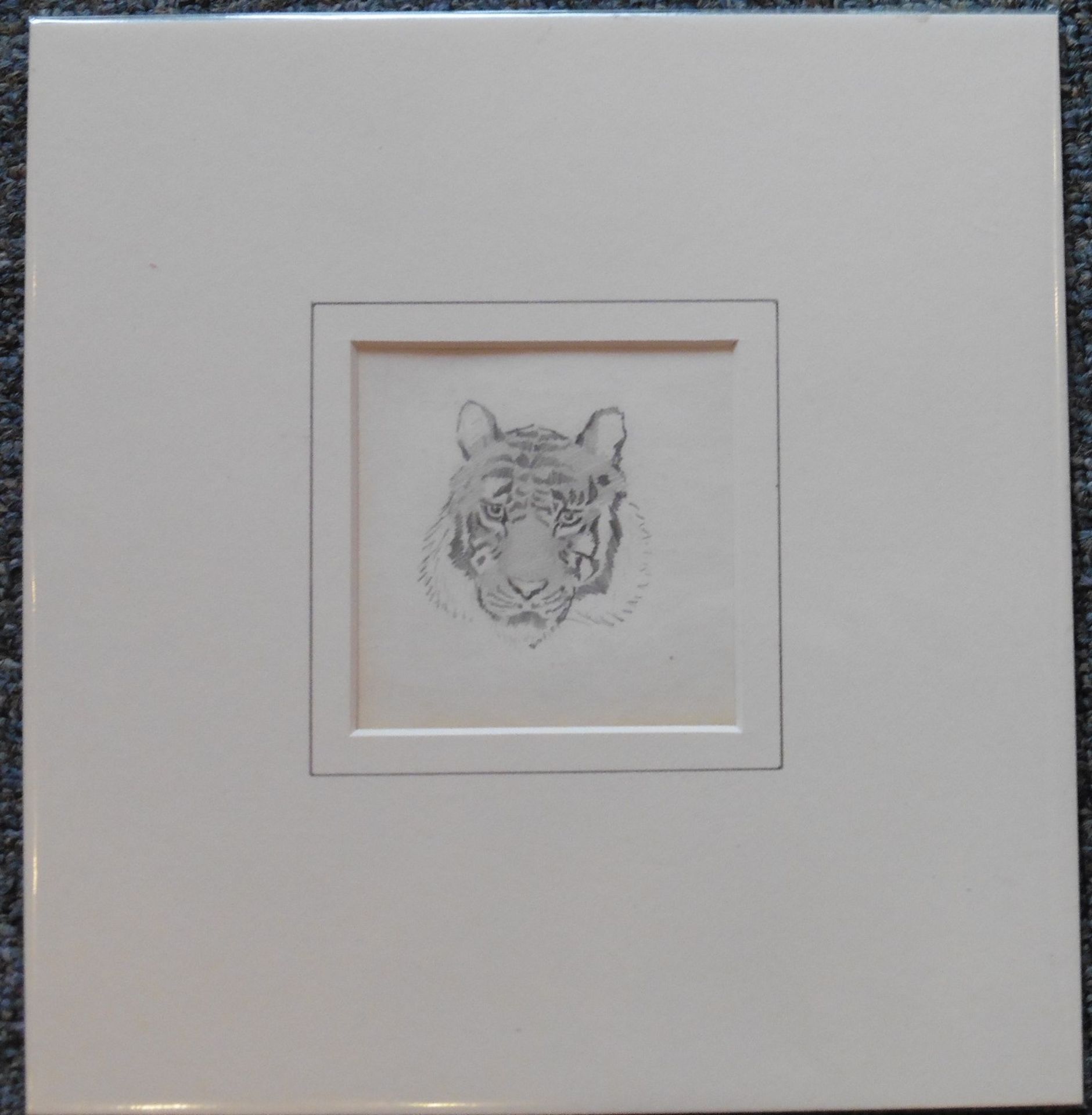 John Murray Thomson RSA RSW PSSA (1885-1974) Pencil sketch “Tiger” - Image 3 of 3