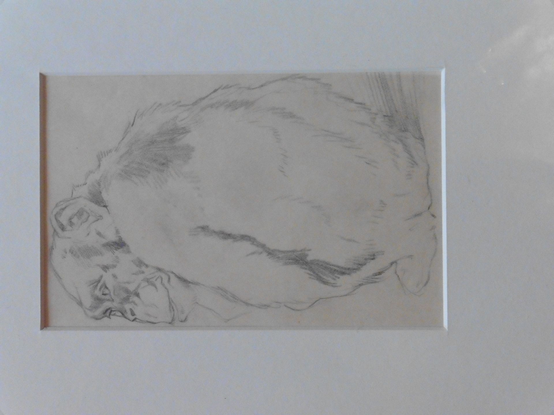 John Murray Thomson RSA RSW PSSA (1885-1974) Pencil Sketch “Chimpanzee” - Image 2 of 3