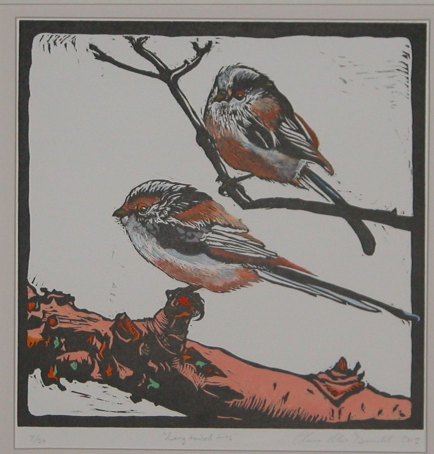 Claire Macdonald, Signed, hand coloured wood block print, 7/50 Long tailed tits