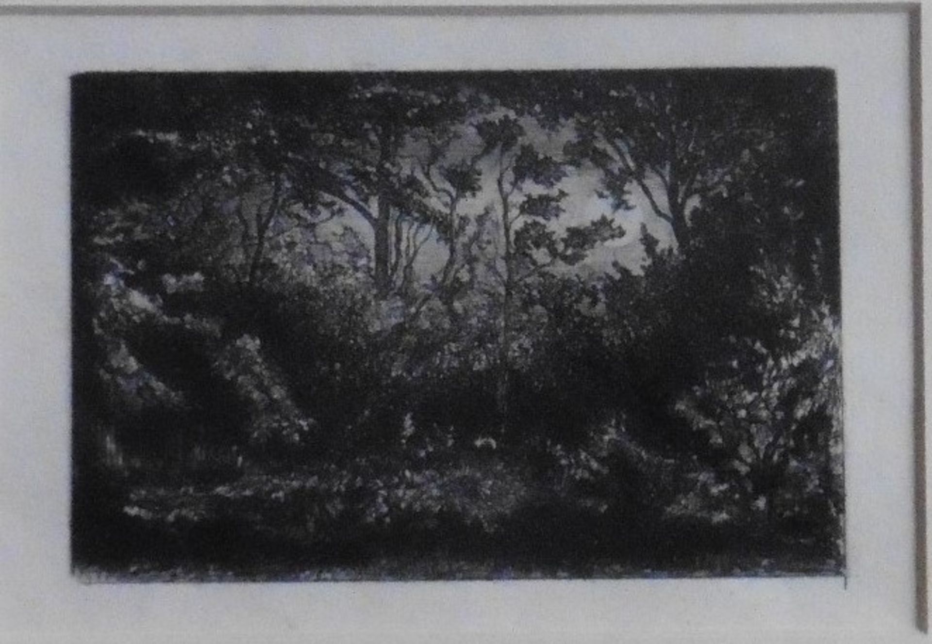 Unsigned woodcut “The Forrest”