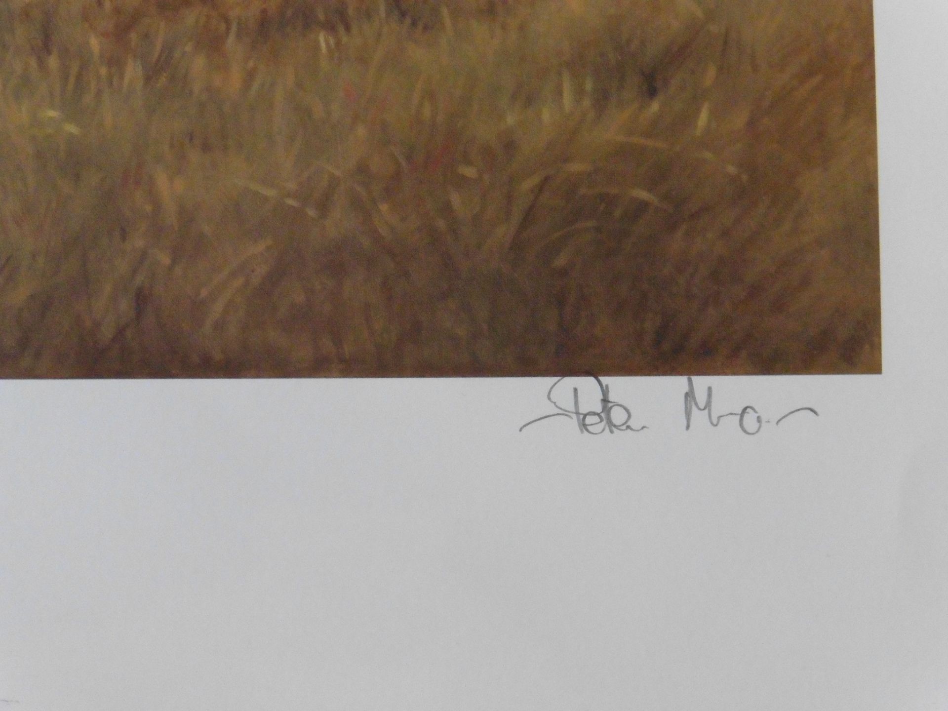 Signed artist proof 17th St Andrews golf course by Scottish artist Peter Munro - Image 4 of 5