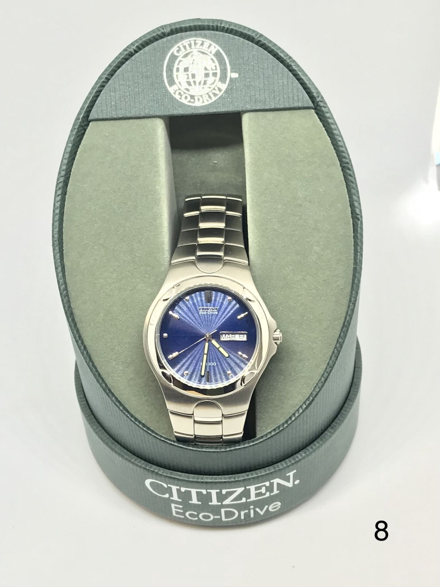 Citizen Mens Watch WR100 ECO Drive