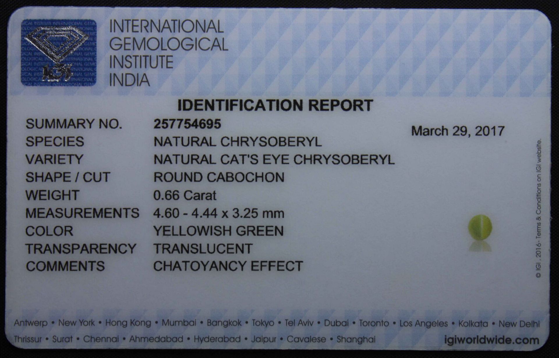 0.66 Ct Igi Certified Chrysoberyl Cat's Eye - Image 3 of 3