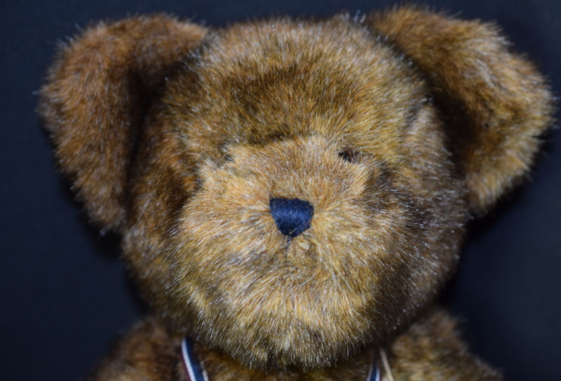 Boyds Head Bean Collection 25th Anniversary Bear - Image 4 of 4