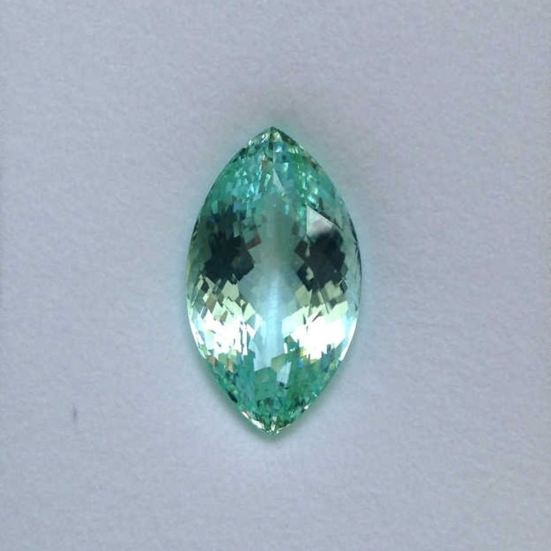 42.14ct oval green Tourmaline,15.97x28.58x13.78mm,Certification DSEF 024665 appriasal 39000