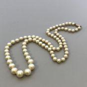 Classic Vintage 1950s Designer Faux Pearl Necklace 9ct Rose Gold Clasp by CIRO