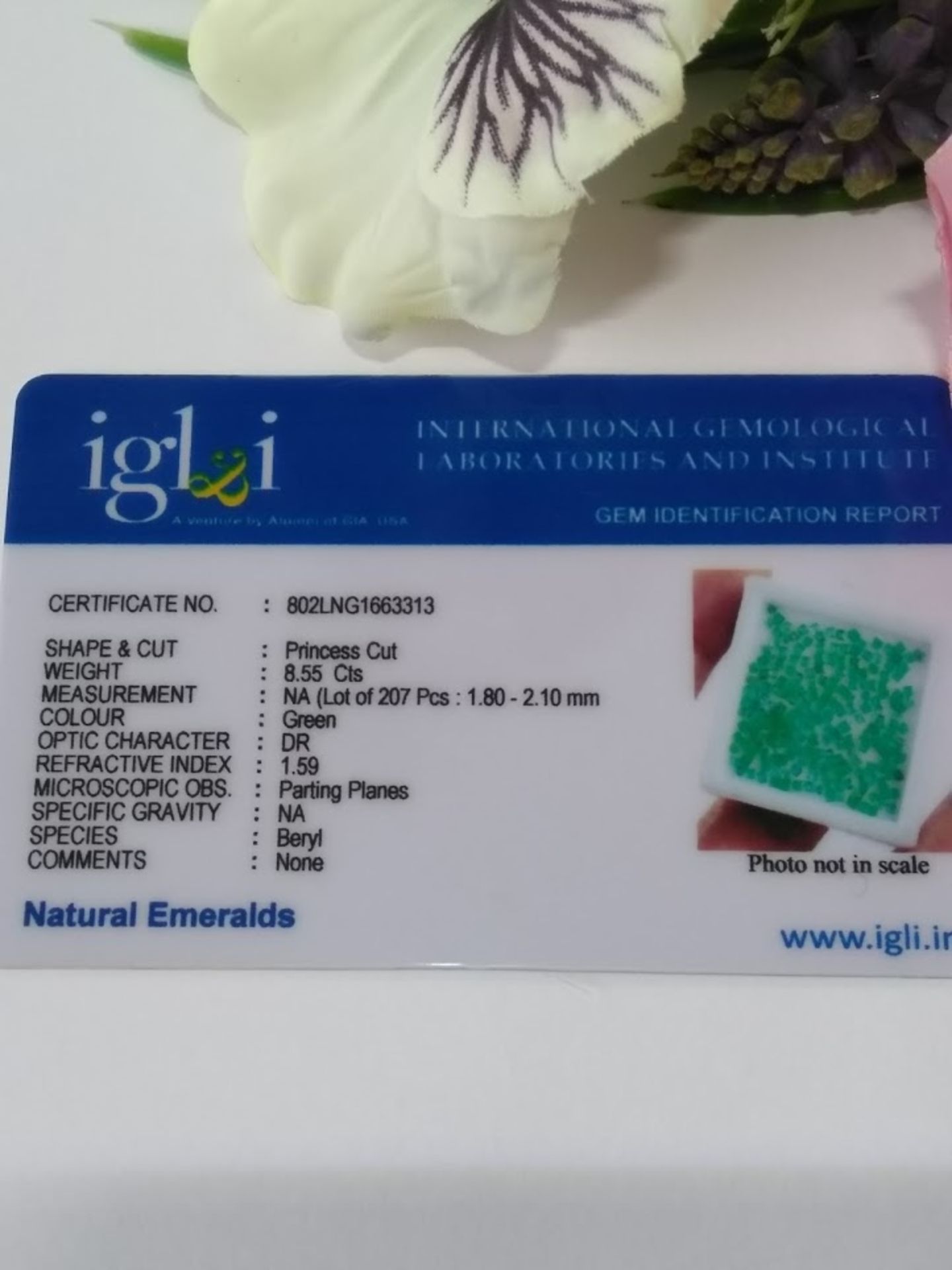 IGLI Certified 8.55 Cts 207 pieces Natural Zambian Emeralds - Sparkling Green Colour - Image 3 of 3