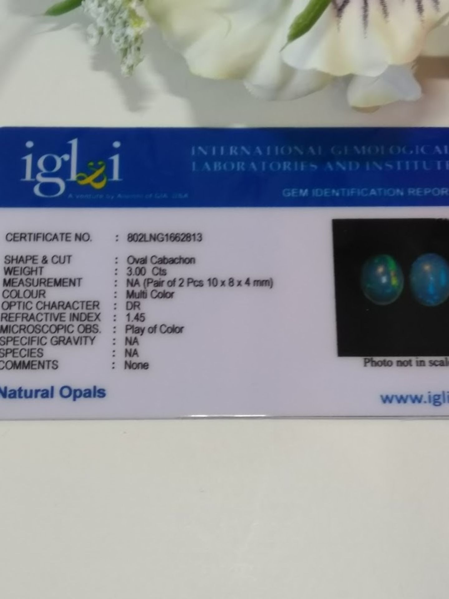 An unusual Pair IGL&I certified 3.00 Cts natural Multi Colour Ethiopian Opals. - Bild 3 aus 3