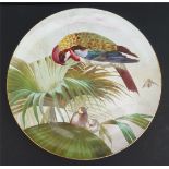 Antique Handpainted Wall Plaque Birds Signed H Goodall 1890 Exotic Bird