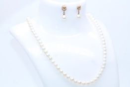 9ct Yellow Cultured Pearl Set, Includes Earrings And Necklace, Set In A Presentation Box