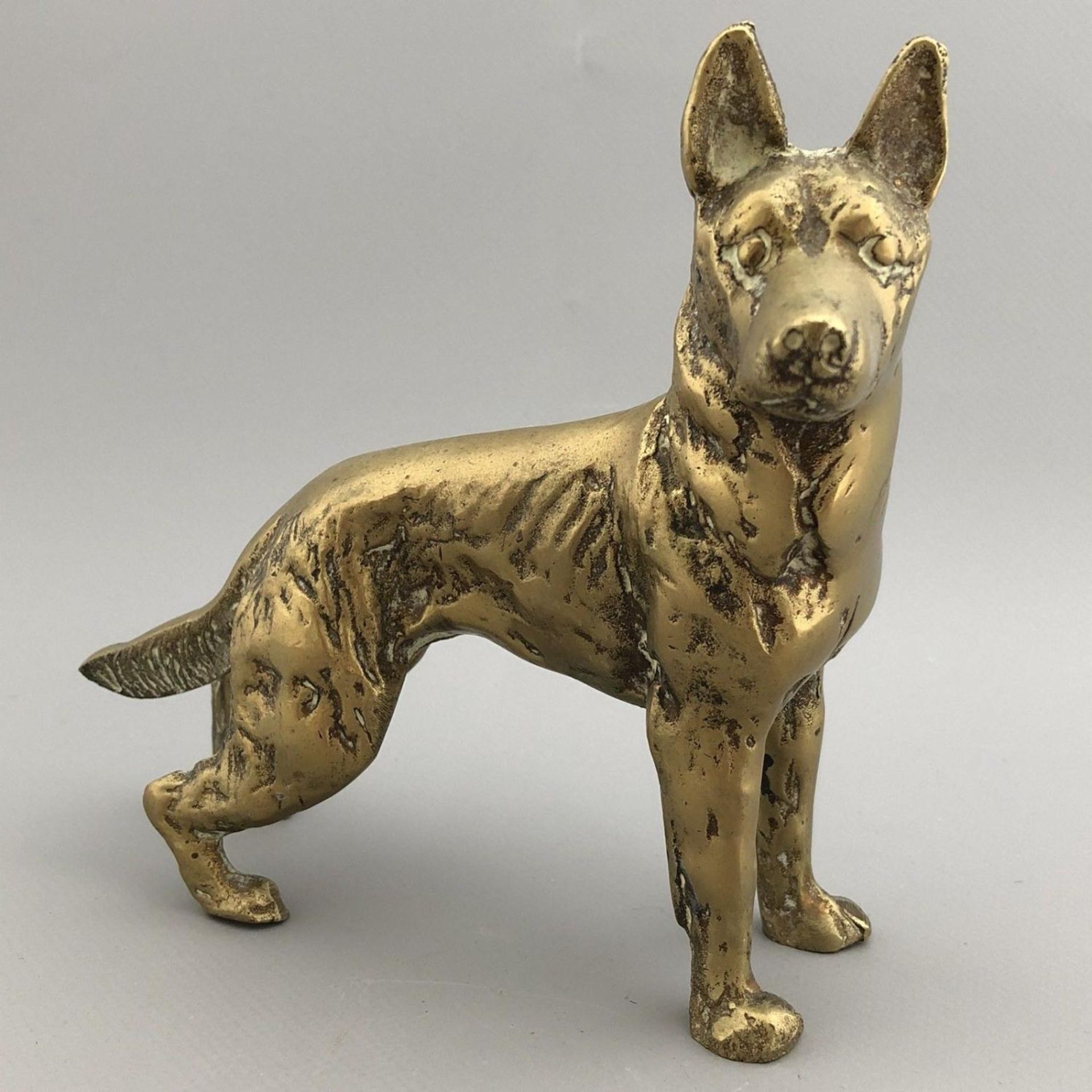 Antique English Brass Statue of an Alsation / German Shepherd - 875g - HeavyÊ