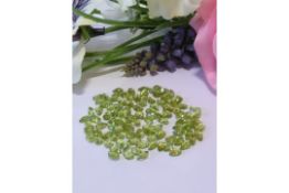 A Stunning collection IGLI Certified 50.00 Cts - 105 pieces Natural (Untreated) Peridot Gemstones