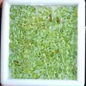 An Outstanding IGLI Certified 75 Cts 250 pieces Natural Peridot Gemstones,