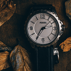 Branded High Street Designer Watches