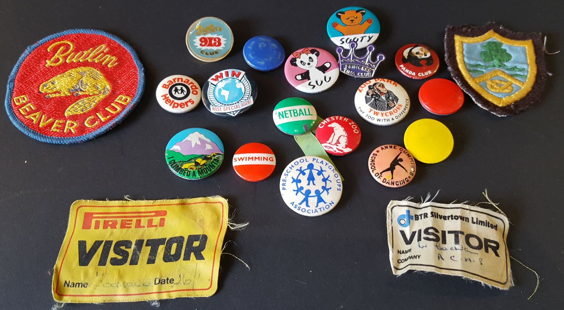 Vintage Retro Collectables Badges Parcel of 21 & Kitsch Table Setting - No Reserve