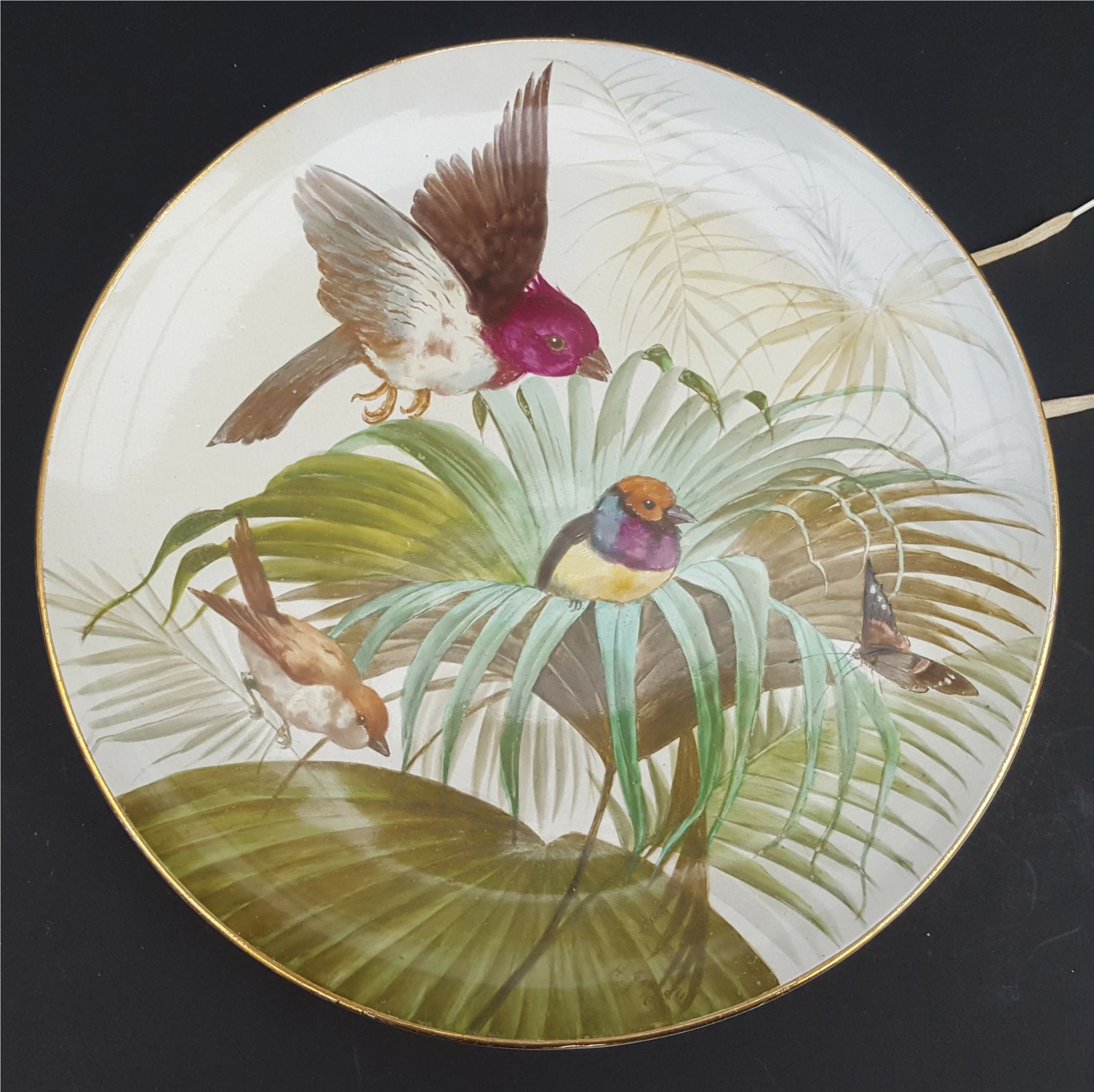 Antique 4 x Handpainted Wall Plaque Birds Signed H Goodall 1890 Wrens - Image 2 of 9