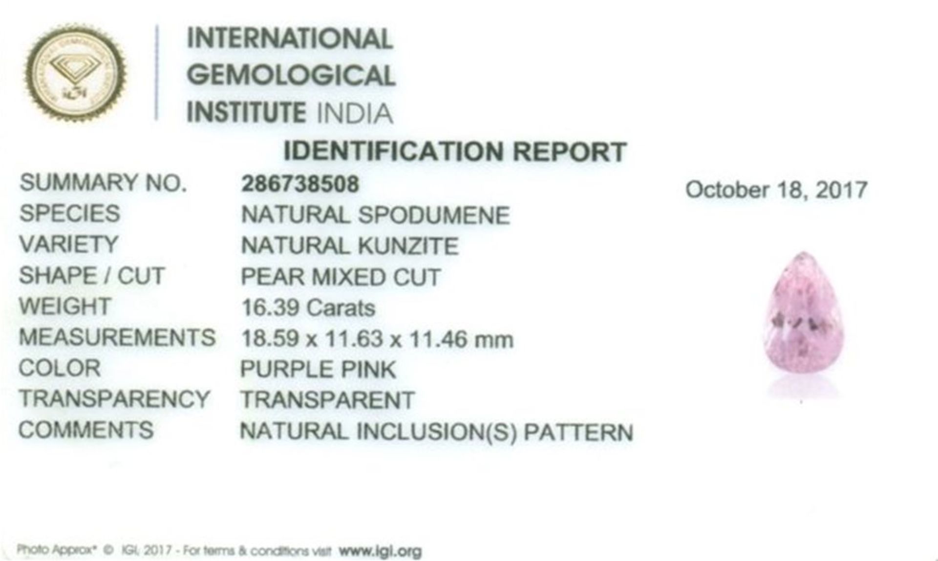 IGI Certified 16.39 ct. Kunzite - Purple Pink - Image 2 of 6