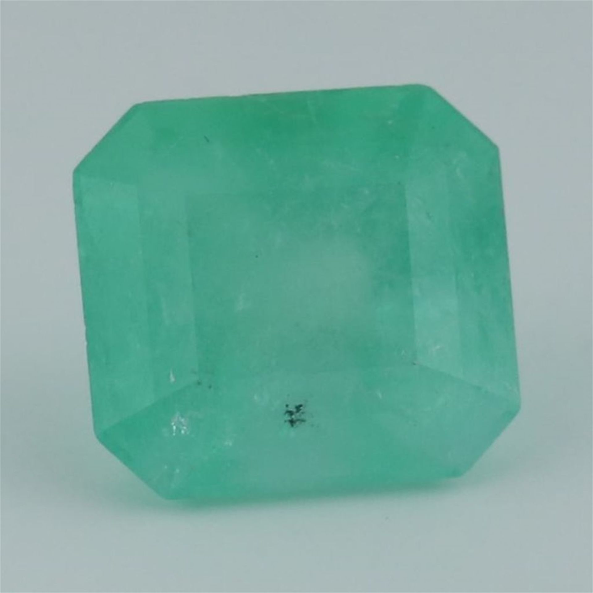 IGI Certified 9.31 ct. Emerald