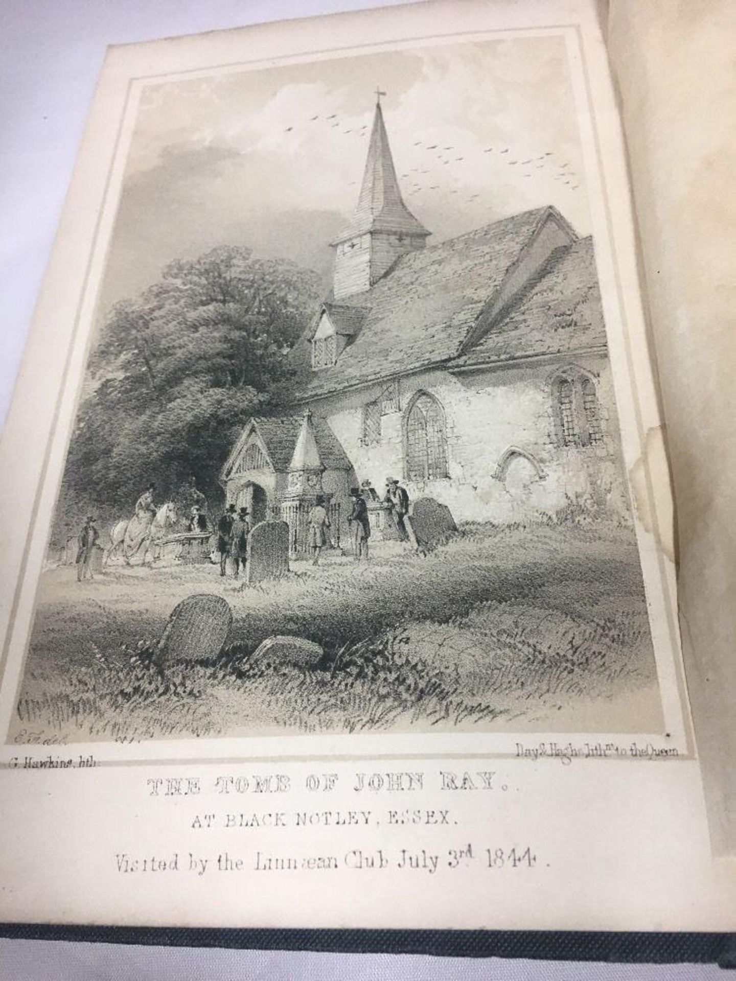 ANTIQUE BOOK - MEMORIALS OF JOHN RAY HIS LIFE BY DR. DERHAM THE RAY SOCIETY 1846 - Image 3 of 4