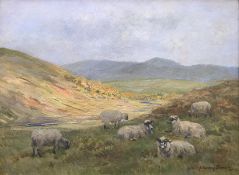 John Murray Thomson (Scottish 1885-1974) R.S.A, R.S.W, P.S.S.A oil “Sheep grazing on the hill”