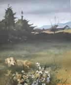 Michael (Mike) Forbes, Scottish Artist Born 1963, Exhibited R.S.A watercolour dog in a meadow