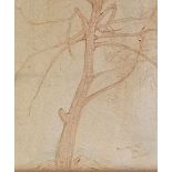 Red Tree sketch signed by Marek Szwarc, 41 x 50 cms 1954 Condition: Good