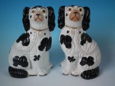 Pair Staffordshire Pottery No.3 black&white spaniels