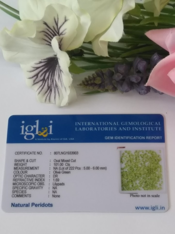 IGLI Certified - A Stunning 101 Cts 222 Pieces Natural Untreated Peridot Gemstones - Oval Cut - Image 3 of 3