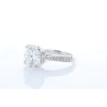 18ct White Gold Single Stone Claw Set With Stone Set Shoulders Diamond Ring 5.00