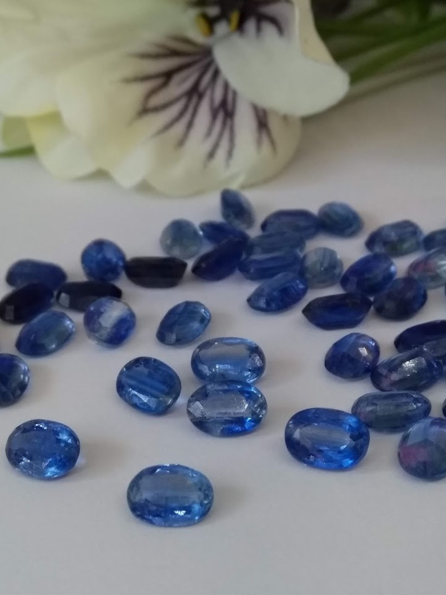 IGL&I Certified 45.55 Cts 49 Pieces natural Untreated Kyanite Gemstones - Image 2 of 3