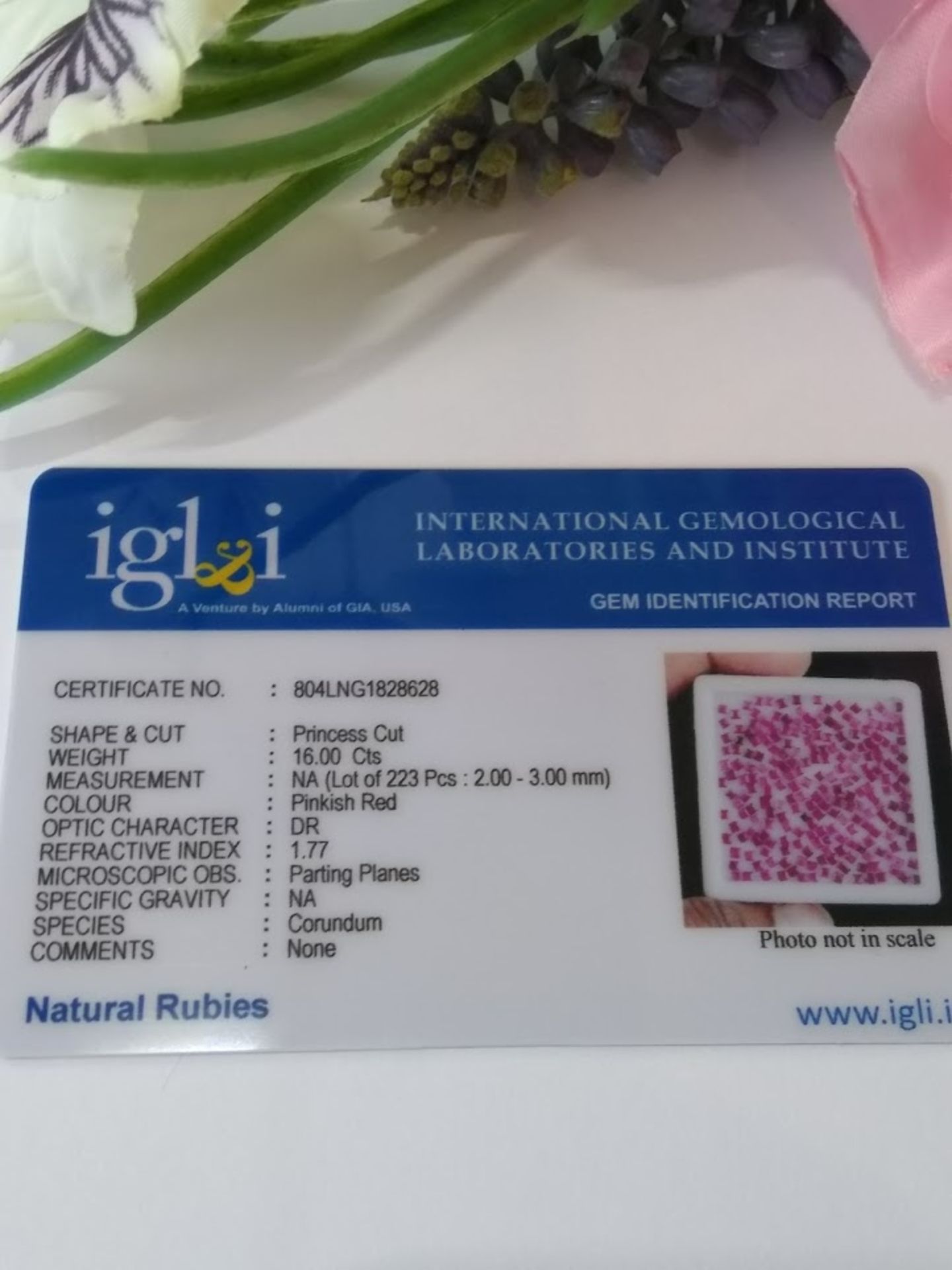 IGL&I Certified 16.00 Cts 223 Pieces Natural Untreated Ruby Gemstones - Transparent - Image 2 of 2