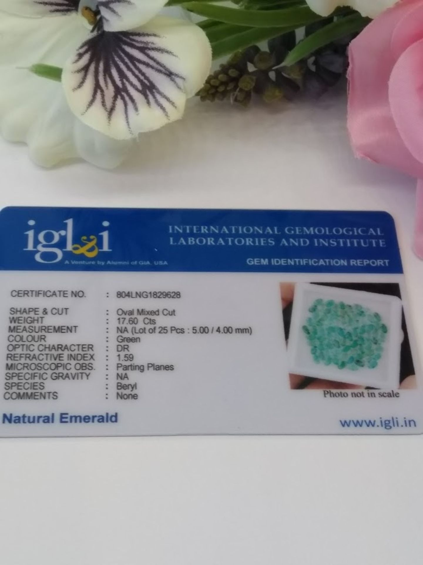 IGL&I Certified 17.60 Cts 25 Pieces Natural Colombian Emerald Gemstones - Image 2 of 2