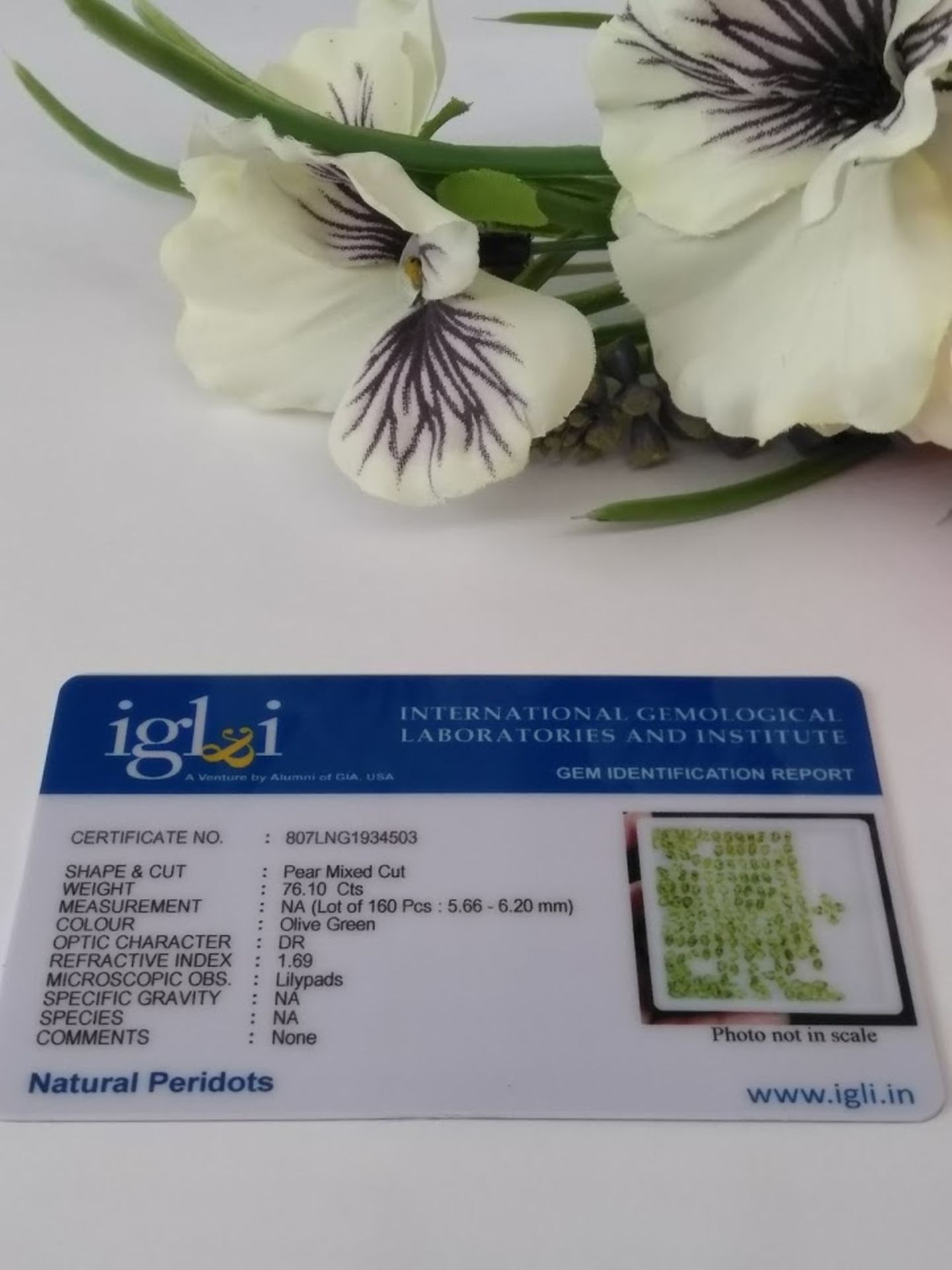 IGL&I Certified 76.10 Cts 160 pieces natural Peridot Gemstones - Transparent - Image 2 of 2