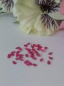 IGL&I Certified 7.05 Cts 39 Pieces Natural Untreated Ruby Gemstones - Transparent