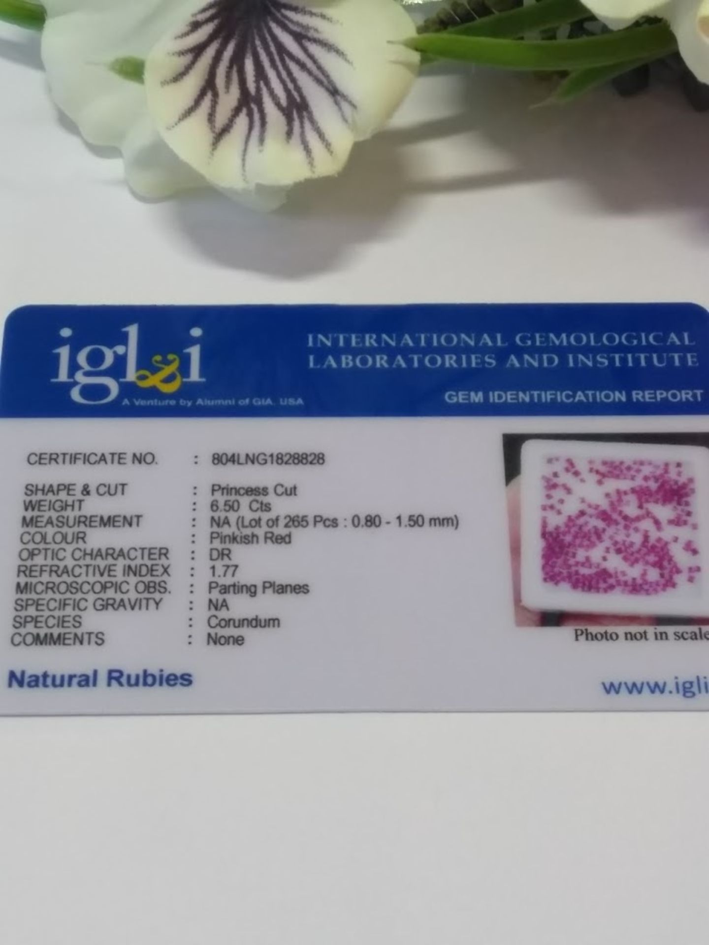 IGL&I Certified 6.50 Cts 265 Pieces Natural Untreated Ruby Gemstones - Transparent - Image 2 of 2