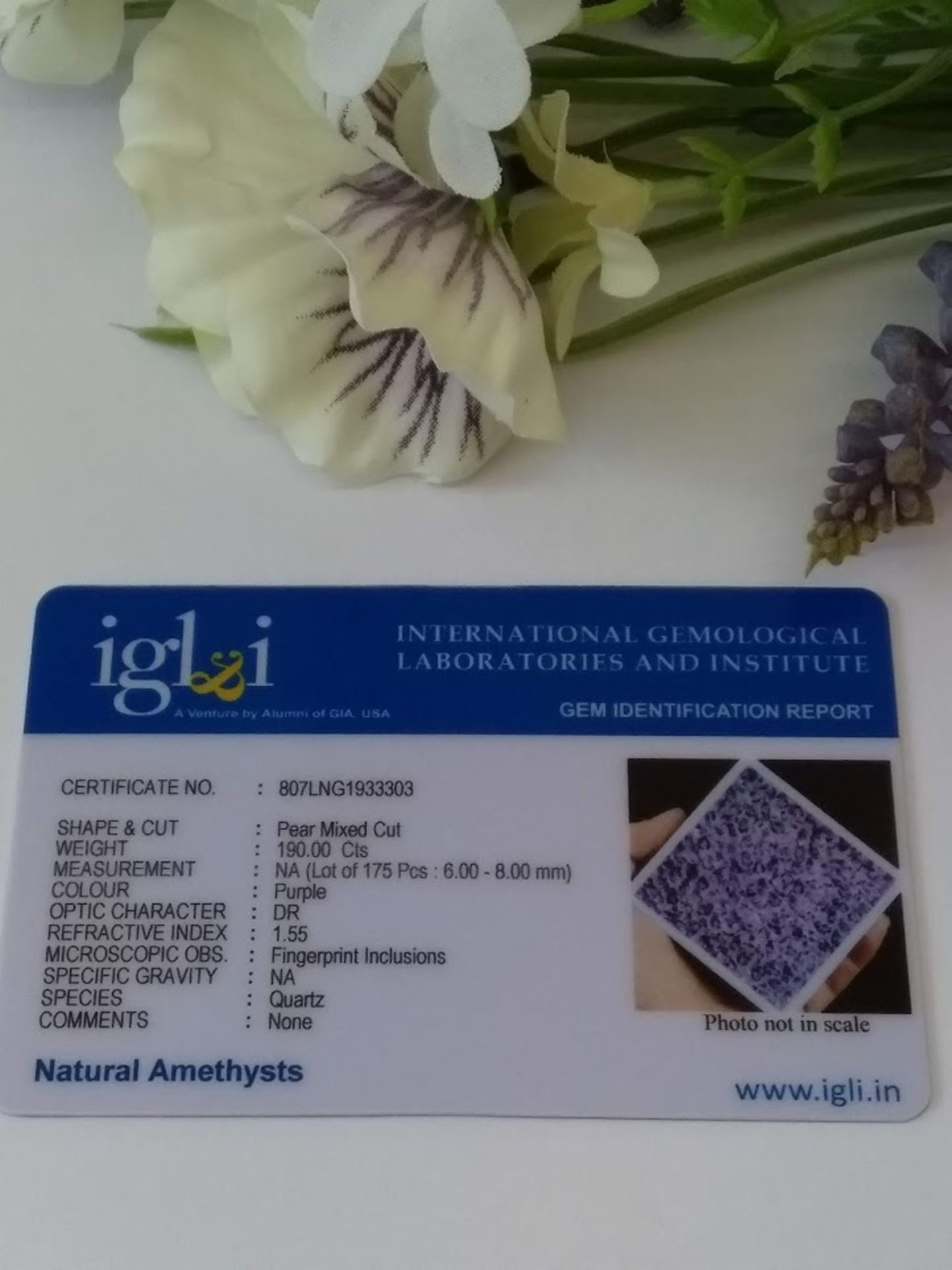 IGL&I Certified 190.00 Cts 175 Pieces Natural Brazilian Amethyst Gemstones - Image 2 of 2