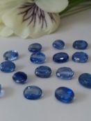 IGL&I Certified 20.20 Cts 20 Pieces natural Untreated Kyanite Gemstones.