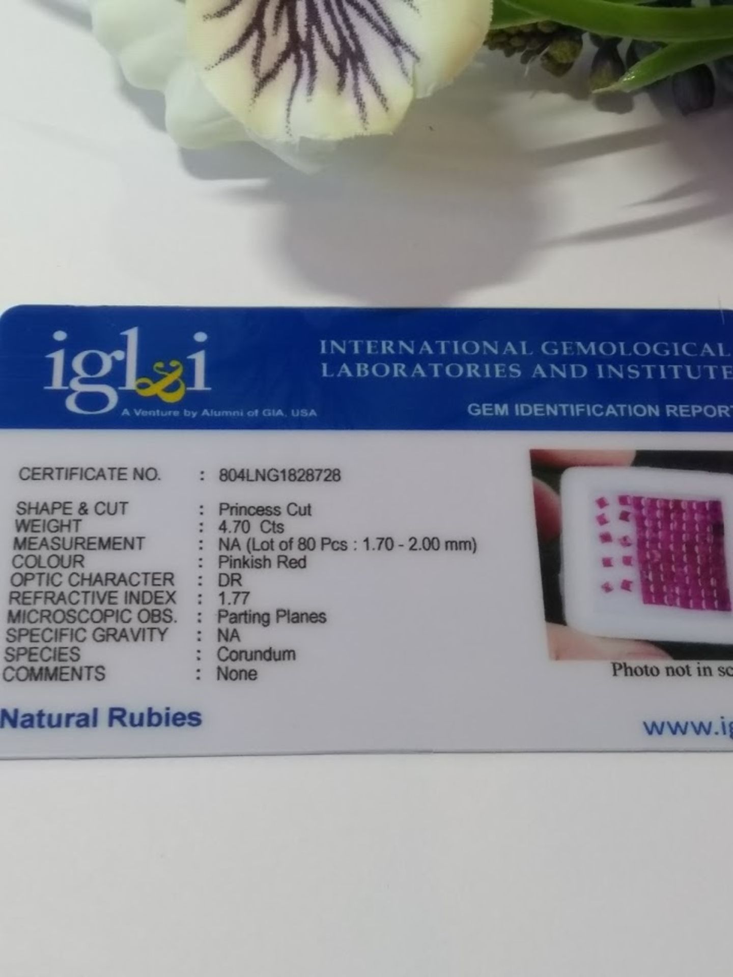 IGL&I Certified 4.70 Cts 80 Pieces Natural Untreated Ruby Gemstones - Transparent - Image 2 of 2