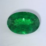 GIA Certified 1.54 ct. Tsavorite (Grossularite - Garnet) - KENYA, East-Africa